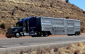 Read more about the article FMCSA Sends Out Warning Letter Protocol To Small carriers All Over USA